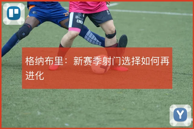 格纳布里：新赛季射门选择如何再进化