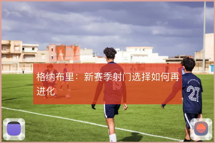 格纳布里：新赛季射门选择如何再进化