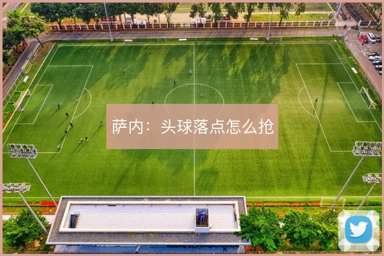 萨内:头球落点怎么抢